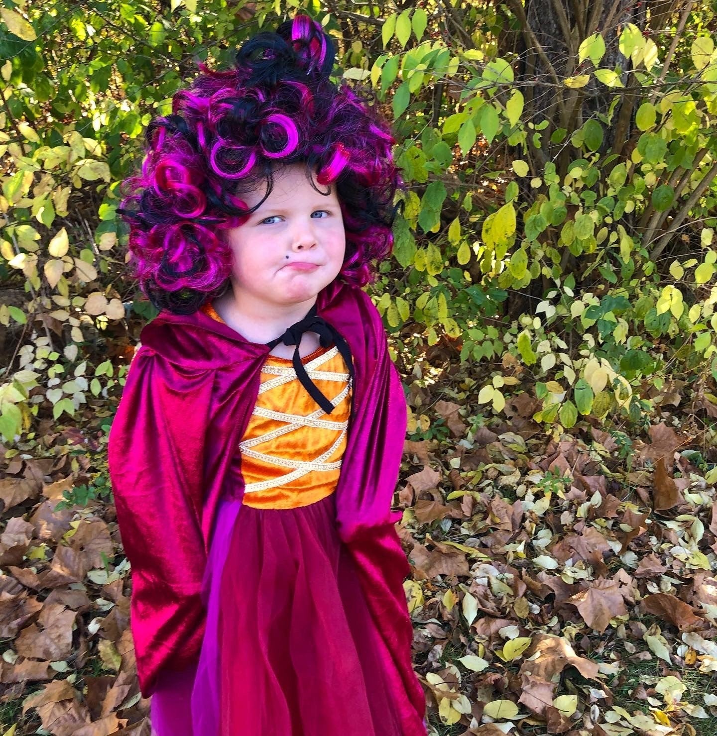 Kids Girls Hocus Pocus Witch Costume Baby Girls Halloween Costume Tutu Dress With a Velvet Cape And Wigs Sister Set