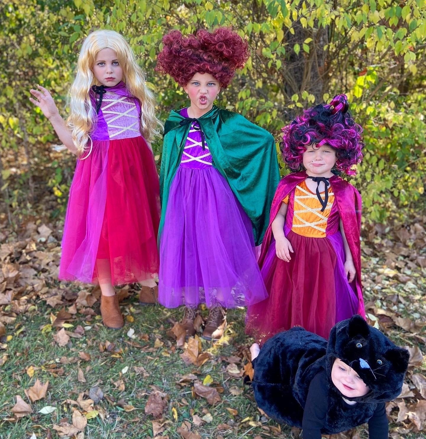 Kids Girls Hocus Pocus Witch Costume Baby Girls Halloween Costume Tutu Dress With a Velvet Cape And Wigs Sister Set